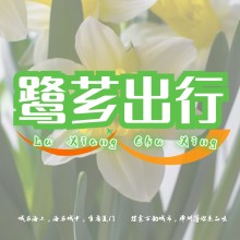 漳州往返廈門私家車0596調度6200003，漳州拼車到廈門調度專線，廈門機場到漳州調度